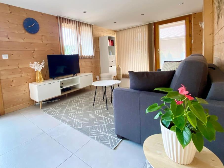 Androsace Appartement Dans Chalet Bois Avec Jacuzzi Privatif Terrasse Et Vue Montagne Les Villards-sur-Thones Exterior photo